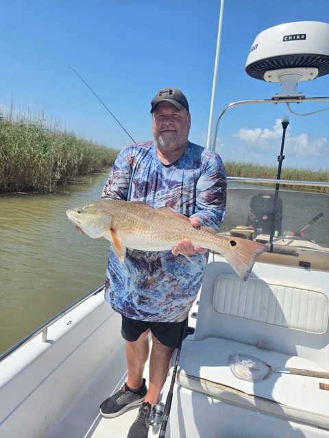 Man on a boat holding a reddish fish; tall grass in the background. Sunny day.
