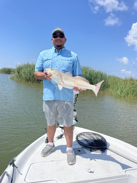 Man on boat holding a redfish in a waterway, sunny day.