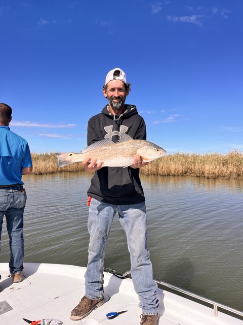 Man on boat holding a fish, blue sky, reeds in background.